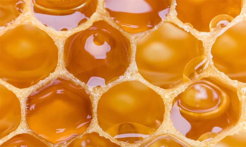 Tabiiy Tog‘ Asali – Sof, Sifatli, Uyasi Bilan! 1 kg = 150 000 so‘m Мёд