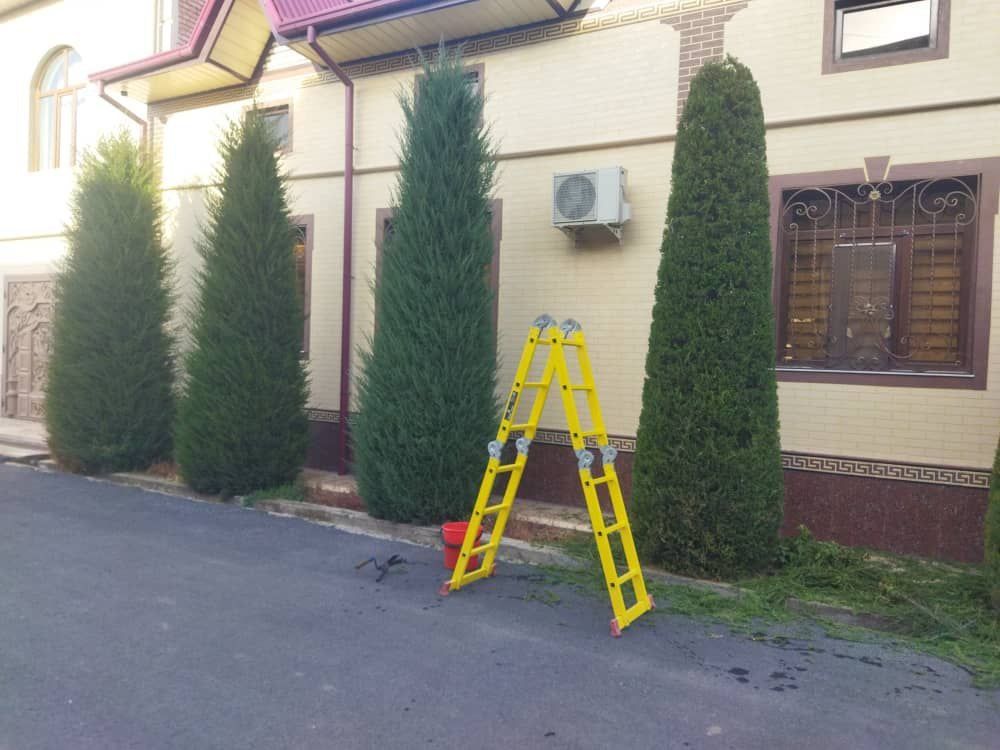 Archa kesish dorilash va gazon bogʻbon chilik ikkish xizmati
