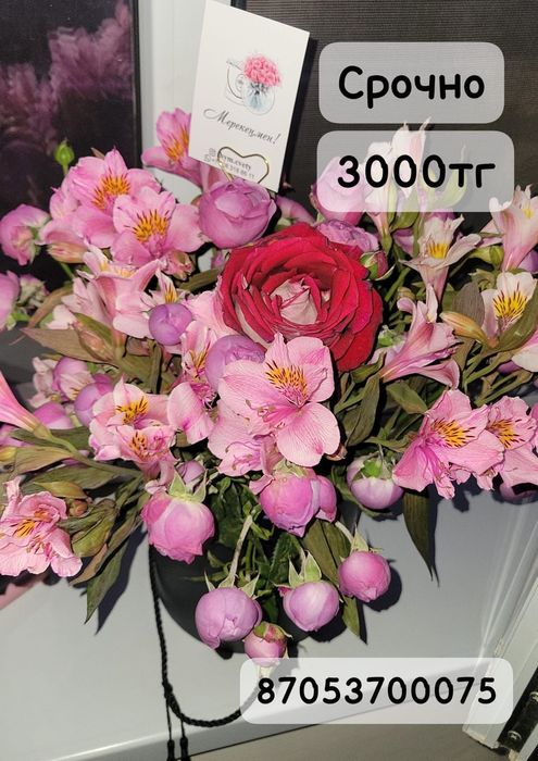 Срочно цветы продаётся