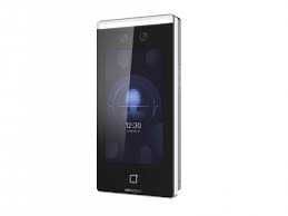 Face IM DS-K1T342MX