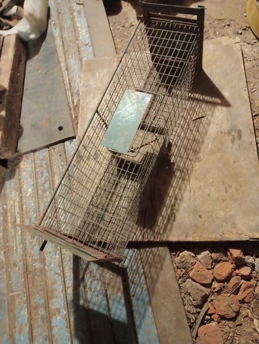 продам крысоловку