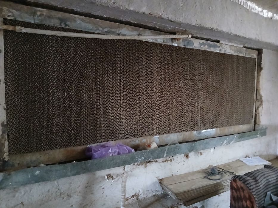 1 месец горанти стальное то телефону