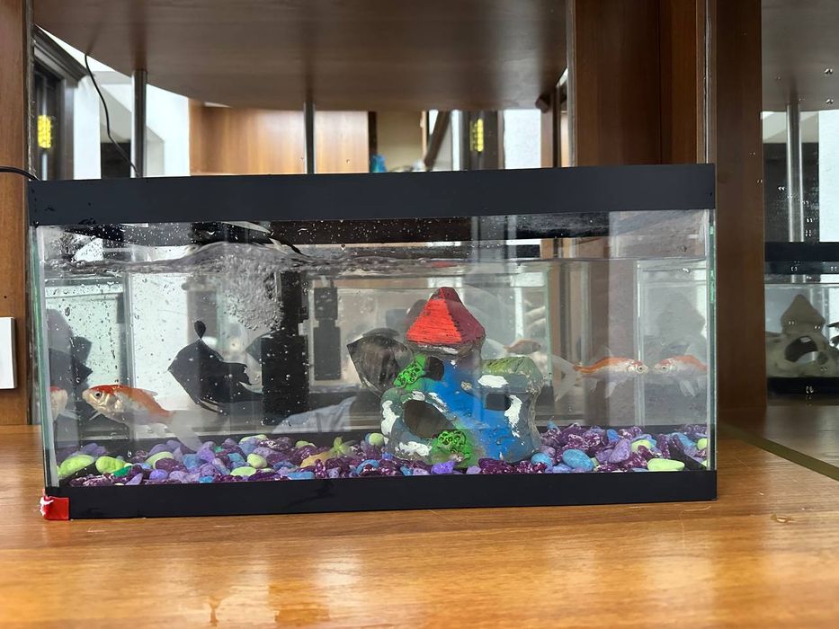 Аквариум с рыбками