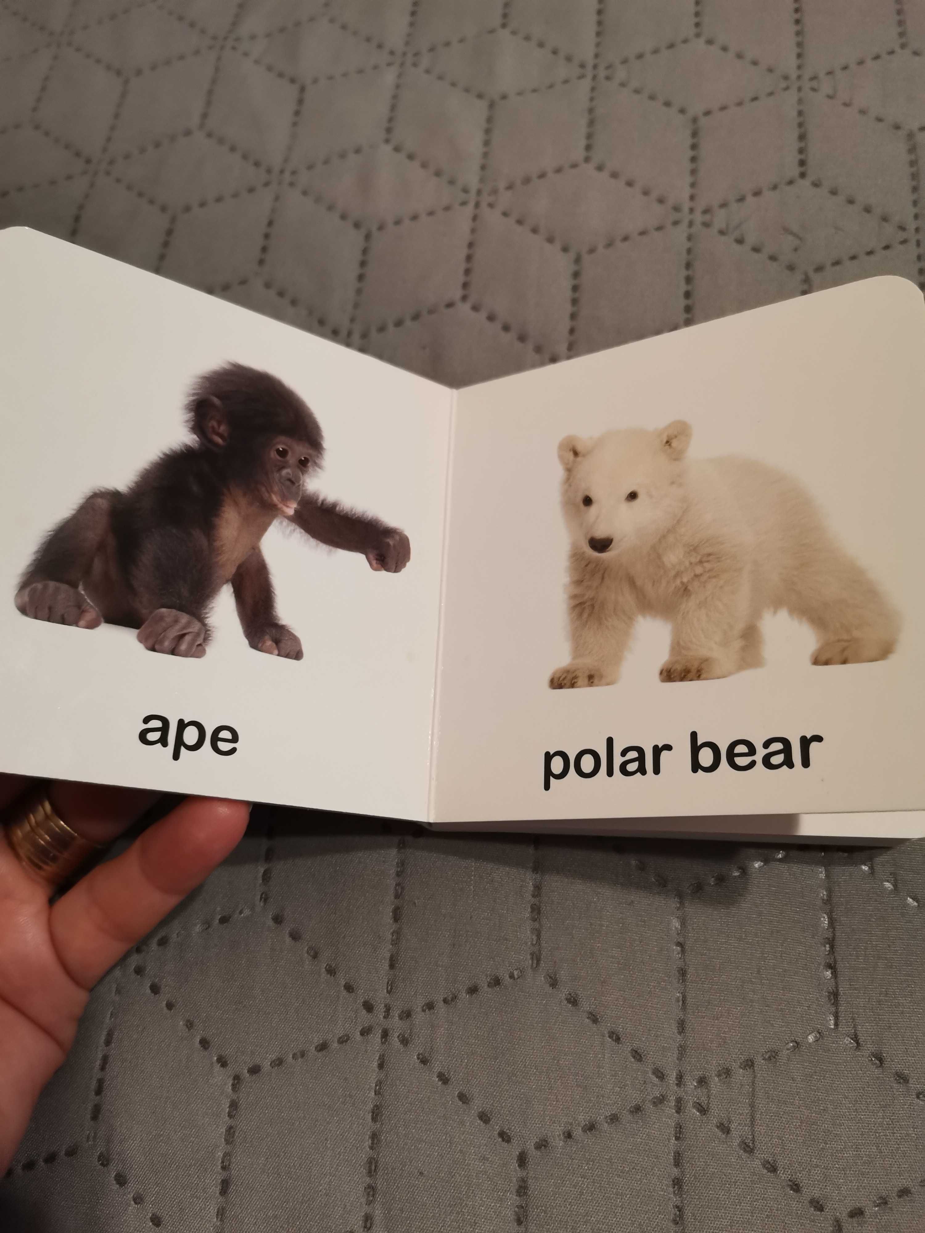Carti pentru copii mici - My first Word animals și Cenușăreasa