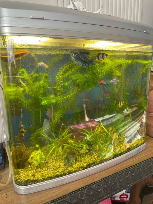 Продается заводской аквариум