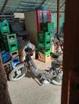 Piaggio ciao mix 49cc sau schimb cu atv 125