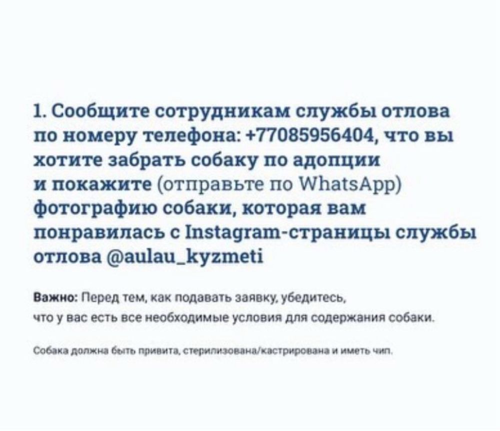 Спасите жизнь — заберите щенка из отлова