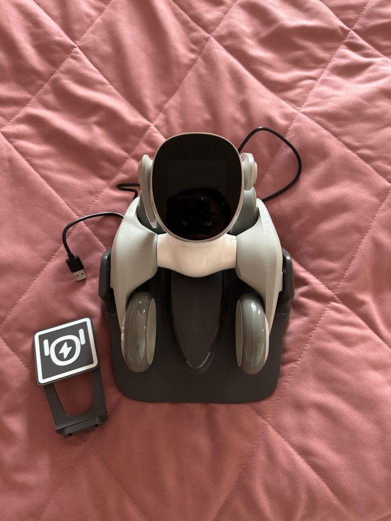 Продам Loona Robot