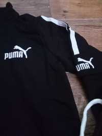 Trening Puma dama