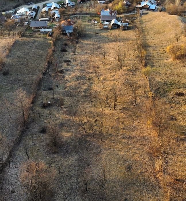 Teren intravilan 2944mp + Casa batraneasca