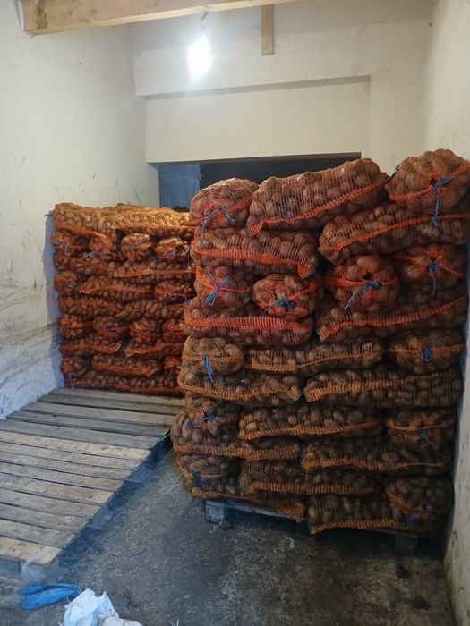 Vind cartofi consum alb