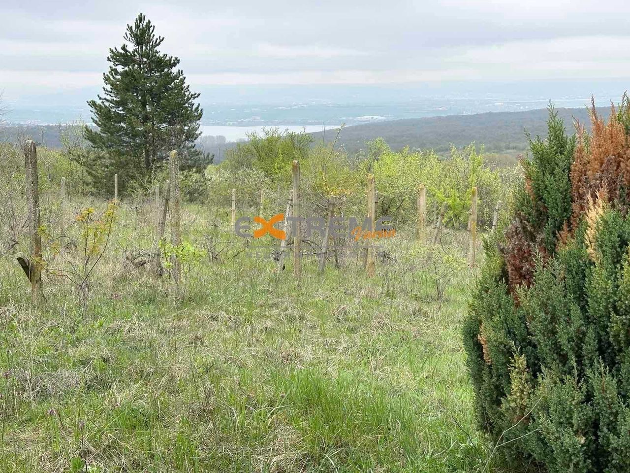 Продава се Парцел в с. Звездица, Област Варна - 600 кв.м за 30 €/кв.м - Снимка #6