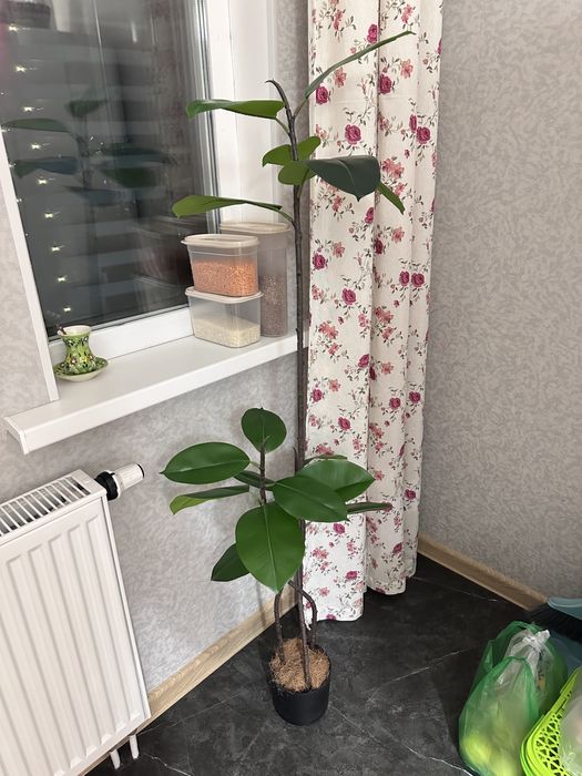 Искусственный цветок фикус