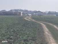 Teren intravilan Balotesti,langa ansamblul Terra si padure, 16500 euro