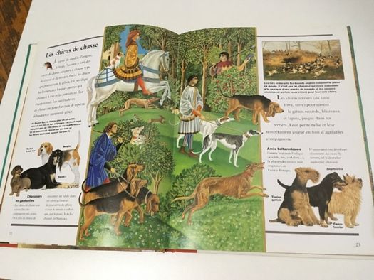 2 детски книжки на френски и английски език Les Chiens кучета