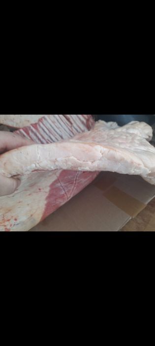 Жылқы еті,соғым жілік Халал