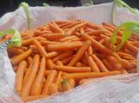 Моркови, ягоди и чушка капия
