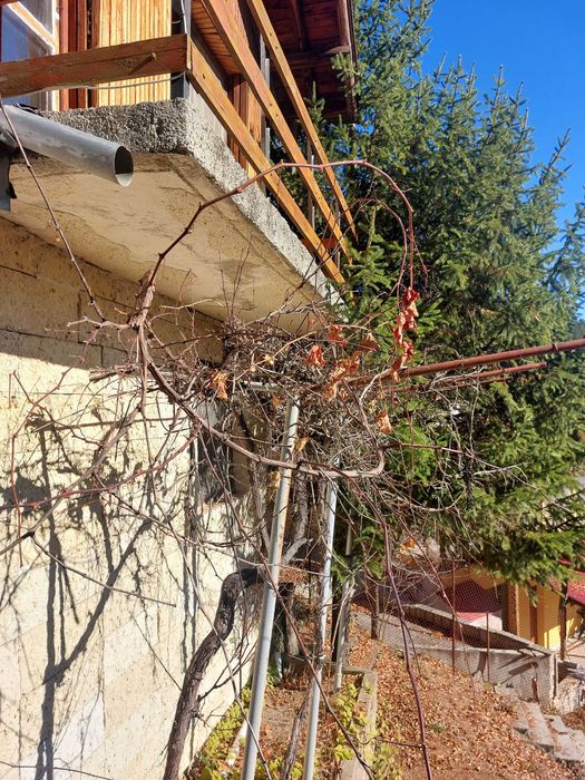 Продава се Къща в с. Борущица, Област Стара Загора - 99 кв.м за 428 €/кв.м - Снимка #3