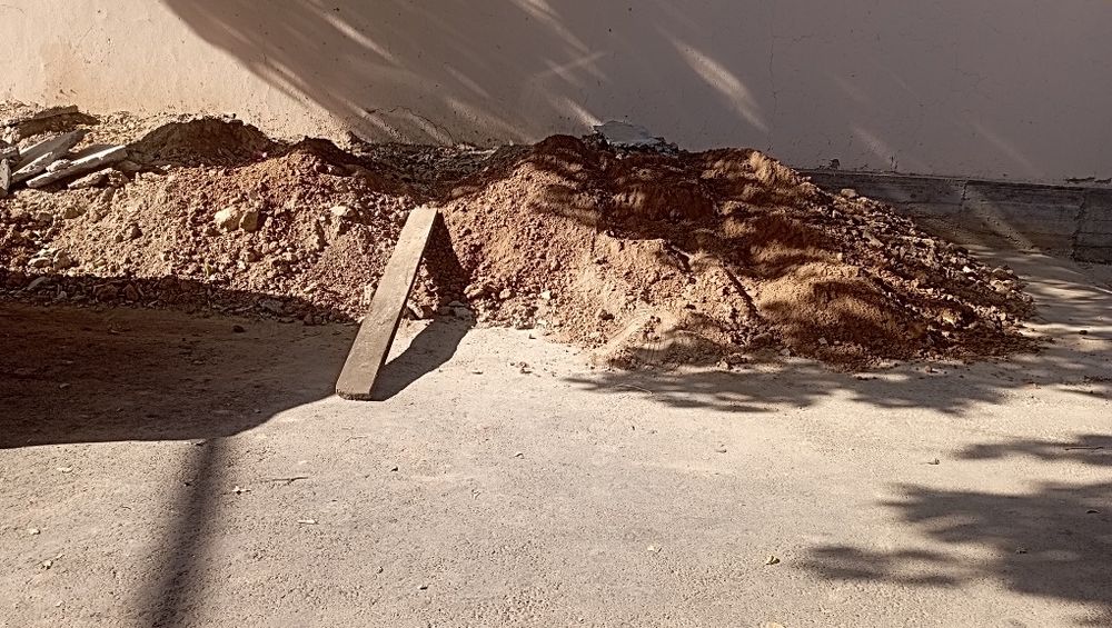 Цветы индийский юка