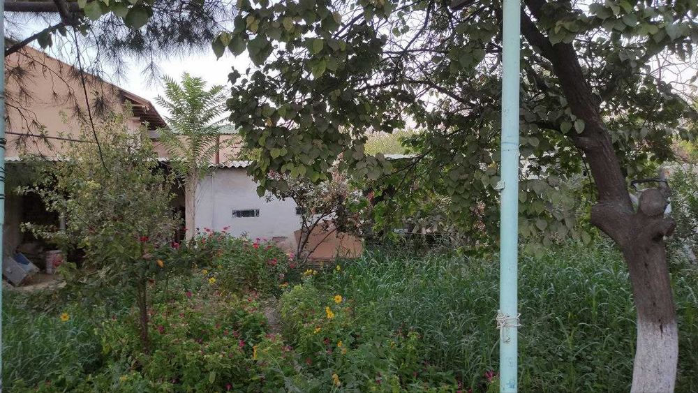 Ховли сотилади. Шахарга якин