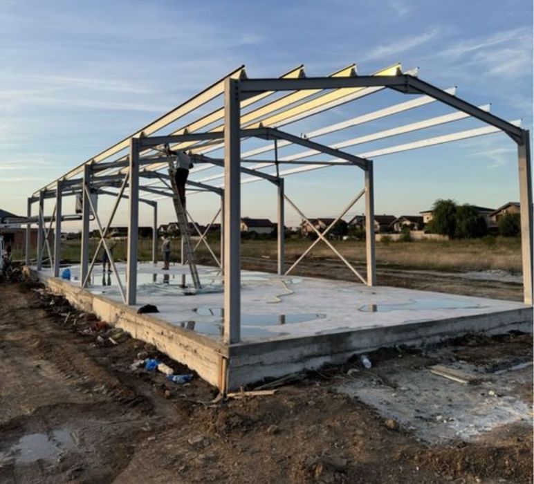 Vindem hale metalicie 10 deschidere + 20 lungime + 4 la strasna