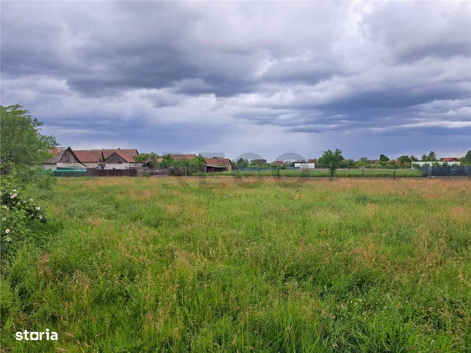 RECO Teren  intravilan in Cefa