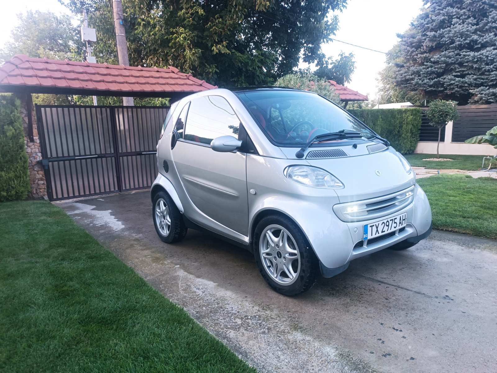 Лек автомобил Смарт Fortwo