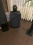 Boxe Saba profesional 1300