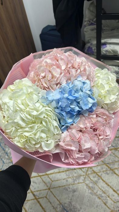 Сегодняшний свежий цветок.