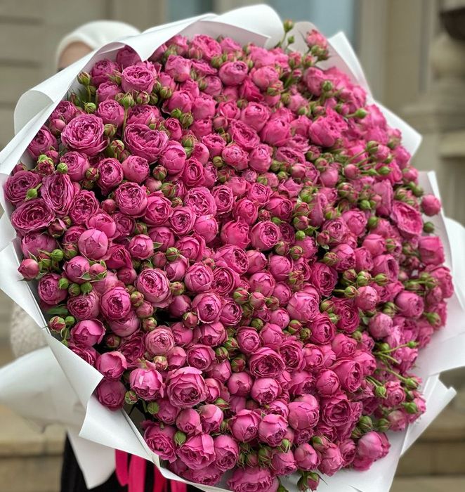 Розы, кустовые розы, пионы.