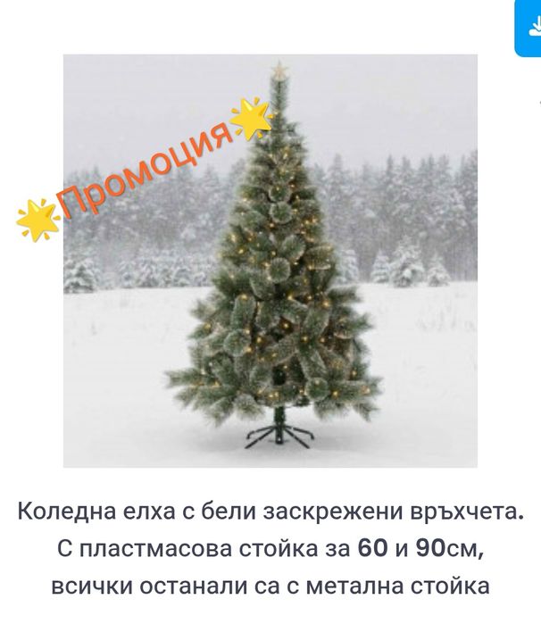 Коледна елха на ниска цена