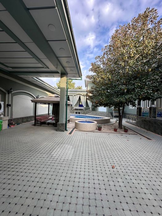 N5545 Olmazor tumani Moy qorgon 6 sotix