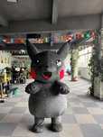 Pikachular 2 xil rangda  3 mln dan