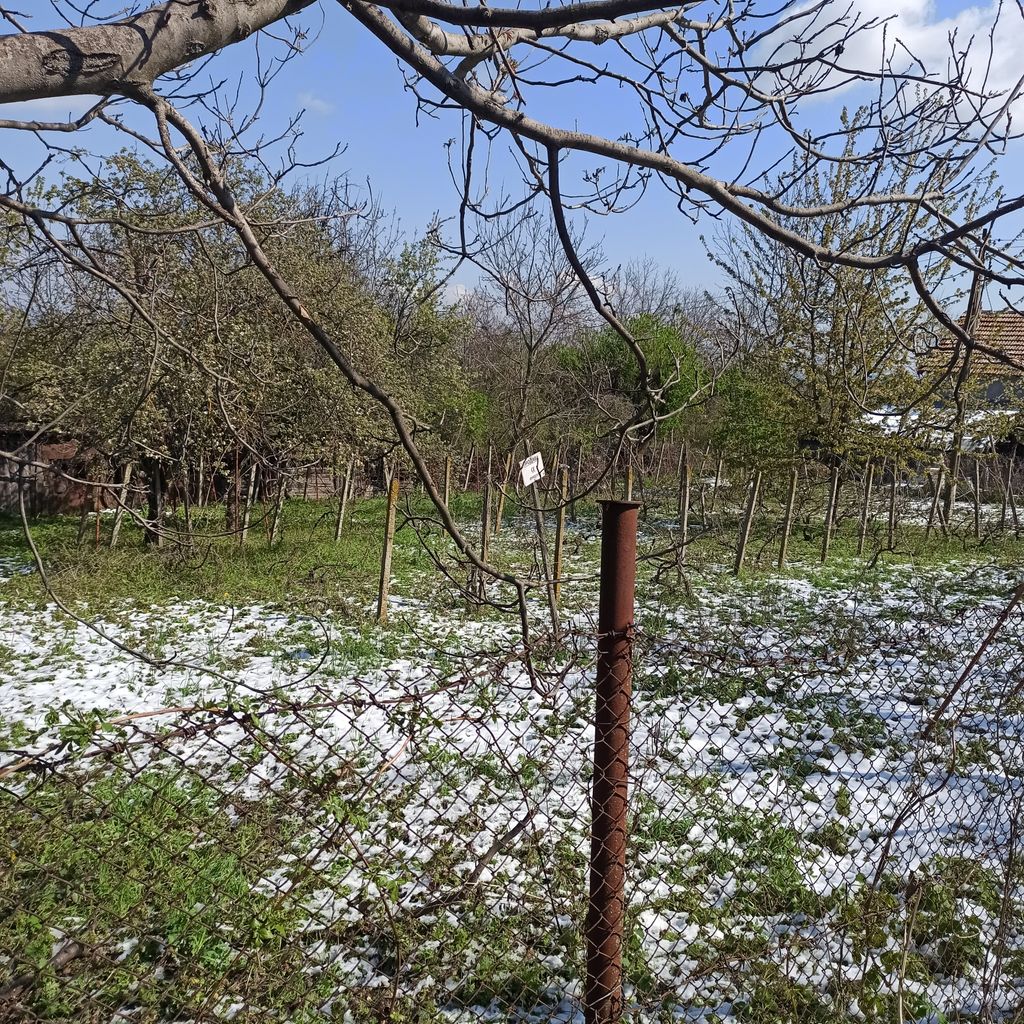 Продава се Парцел в Търговище, Промишлена зона - 793 кв.м за 25 €/кв.м - Снимка #5