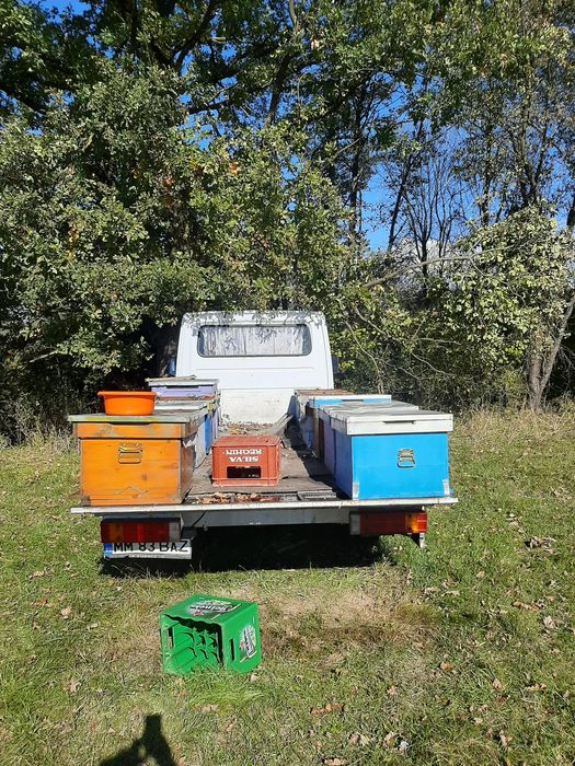 Ofer spre vânzare camioneta Mercedes