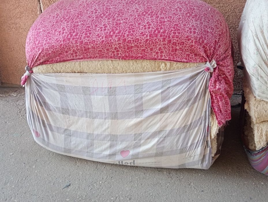 Paxta titish chirchiq