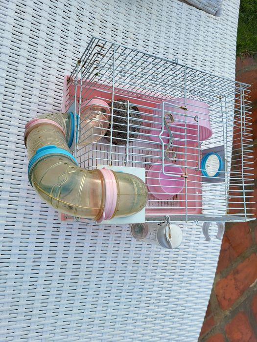Vand cusca hamsteri