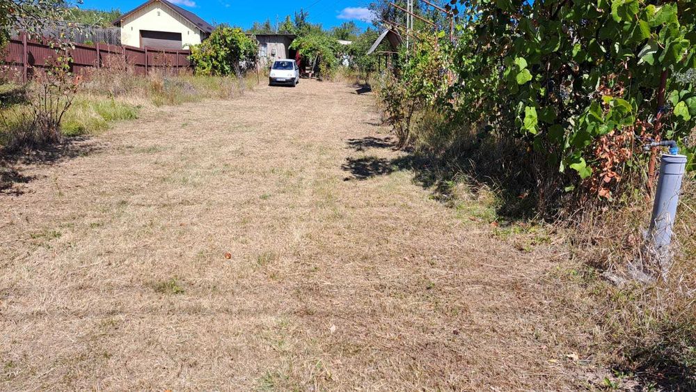 Teren  ALBOTA /CERBU, toate utilitatile!