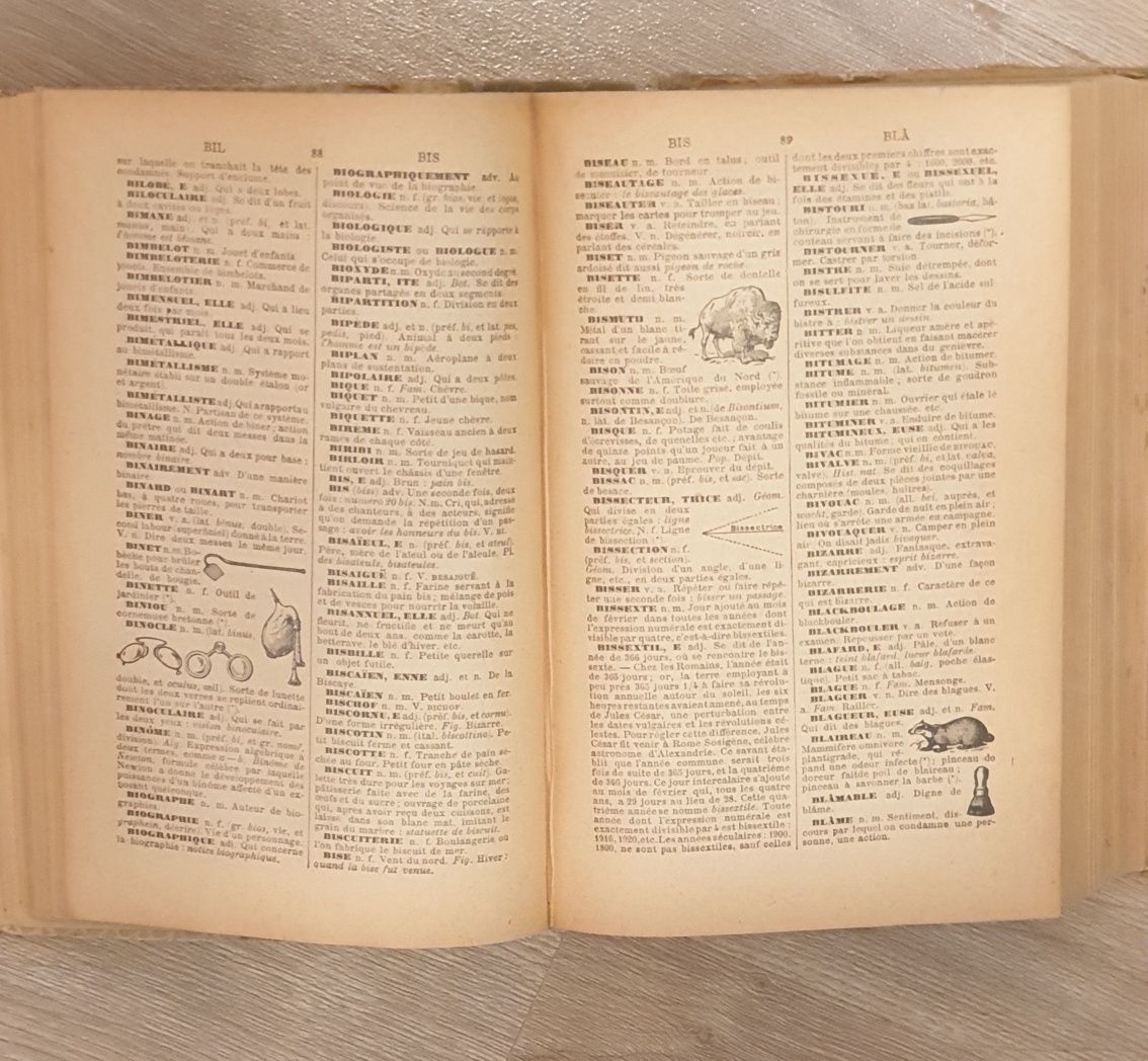 Pierre Larousse dictionar