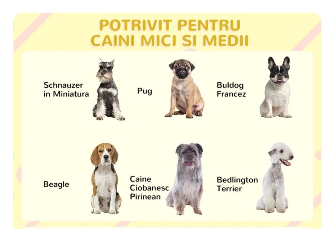 Cușcă pentru câini