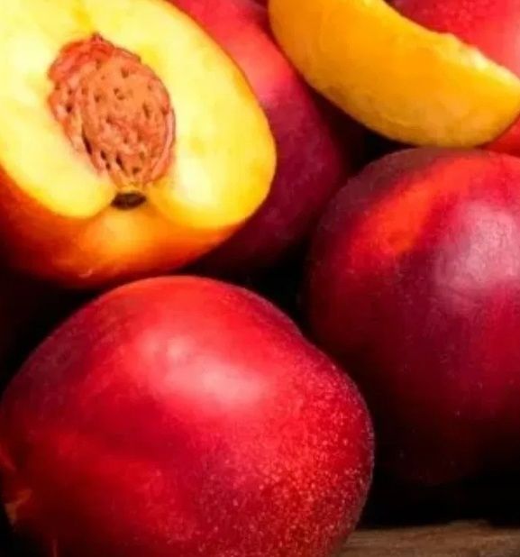 Nectarin (Soiul Champion )