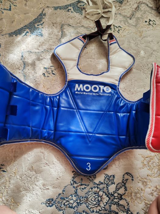 Протектор и шлем