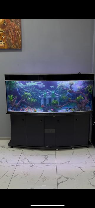 Akvarium tozalash xizmati, Аквариум тозалаш