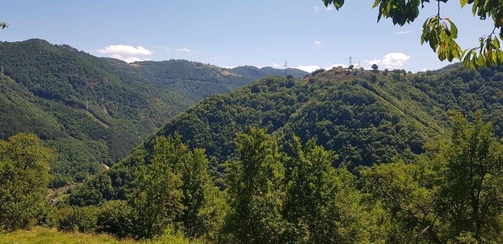 Teren cabana la munte (Sugag Transalpina)