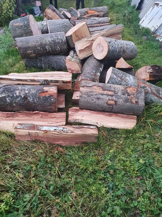 Lemn de foc fag si gorun