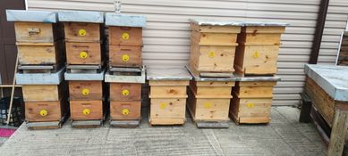 Пчелни кошери на един сезон