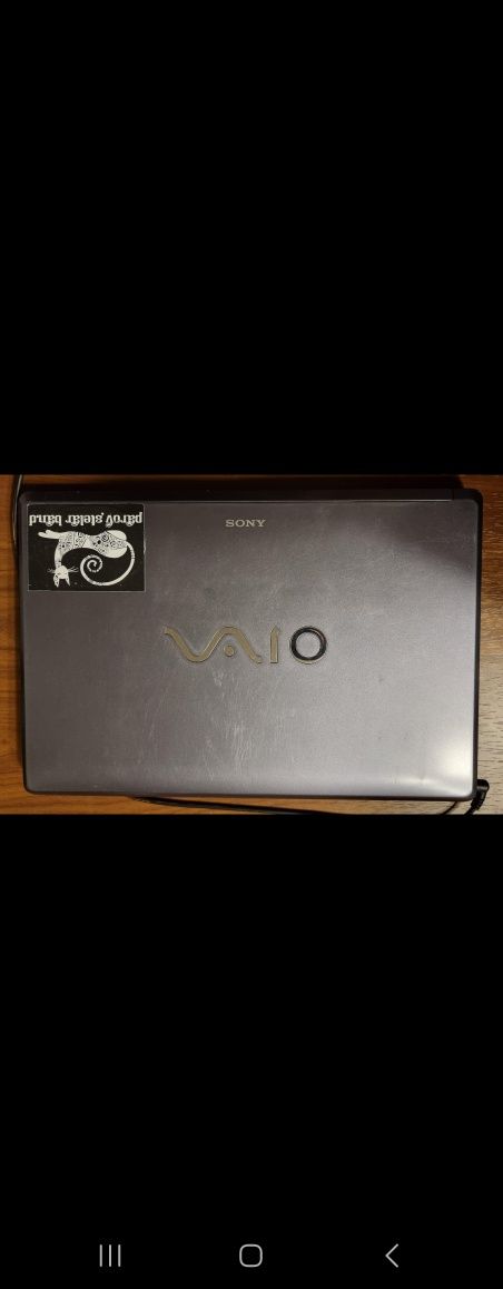 Laptop Sony VAIO PCG-3D1M Silver