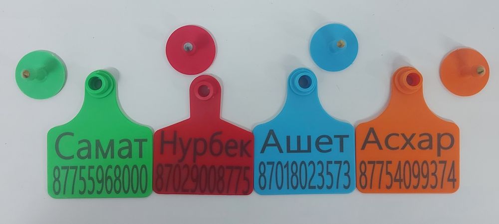 Жылқы, Бие, Ушные бирка, Малға Сырға, қой, Сйыр, Кой, Бұқа,Қошқар,