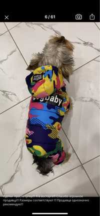 Одежда для собаки куртка