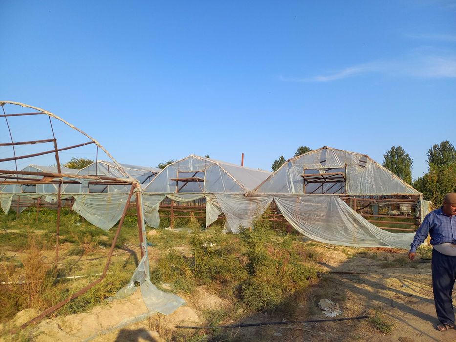 Сирдарё вилояти Сирдарё тумани Малик МФЙда иссиқхона биноси